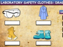 Laboratory Safety Clothes:Drag & Drop Worksheet:Google Slides. Powerpoint | Teaching Resources