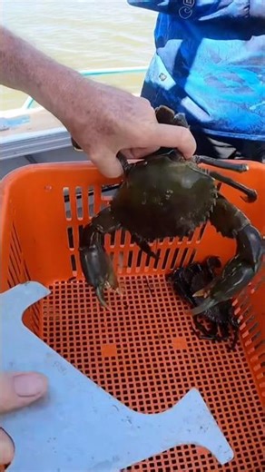 Fishing Tips #1 - float on your measurer