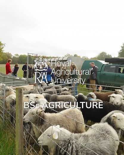 3.4K views · 25 reactions | Find out a bit more about our BSc Agriculture degree  Interested in studying agriculture? Then why not take a look at our course page here: https://www.rau.ac.uk/courses/undergraduate/bsc-hons-agriculture | The Royal Agricultural University | Facebook