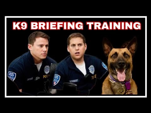 K-9 Briefing Training