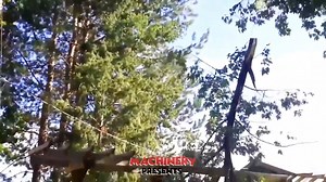 Top 10 Idiots Tree Felling Fails With Chainsaw ! Trees fall into...