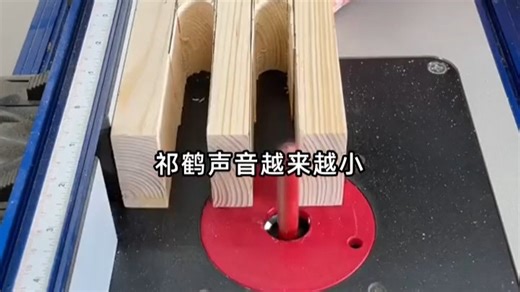 白茶花落离人不归-ad- (4)