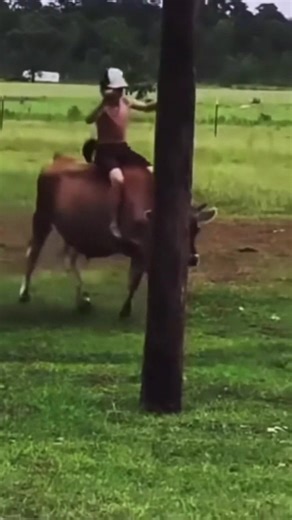 3.4K views · 38 reactions | This never gets old! 鸞 So easy to rope the cow you riding❕ Follow - - - - - - ------------ https://amzn.to/4hmfkDh #rodeotime #roping #cowboyup #longlivecowboys #teamroper #rodeolife #calfroping #cowboystyle #teamroping #roper #ropinghorse | kencarterx | Facebook
