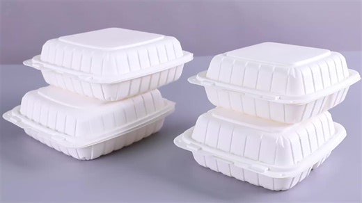 Disposable Plastic Takeaway Container Clamshell to Go Box Eco Friendly Lunch Bento Boxes Fruit Packing Take Out Food Containers