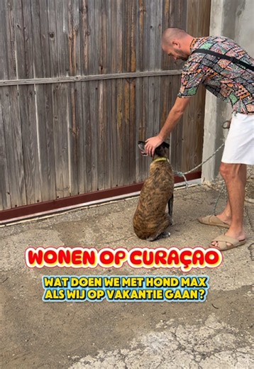 Max's Tweede Thuis: Hondenoppas in Curaçao