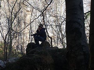 Harry dean stanton full movie