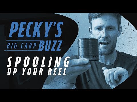 Spool up like Darrell Peck | Pecky's Big Carp Buzz