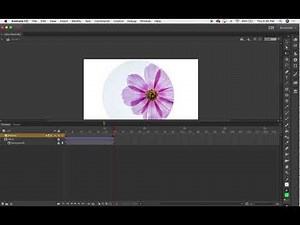 Animate: Advanced Movie Clips & Actionscript Basics