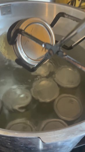 Proper Beef Tallow Storage Guide: Canning Tips & DIY Homestead Techniques