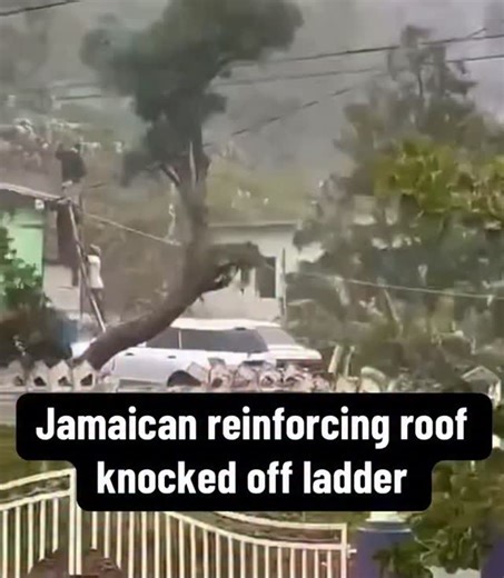 A Jamaican man fell off his ladder while trying to batten down his house roof. We as Jamaicans need to start taking these things more seriously and stop waiting until the last minute when things start looking bad to act. #HurricaneMelissaJamaica #Jamaica #StaySafe | Jamaica Live