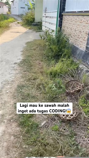 SINCE WHEN WAS CODING THIS EASY?!😍 #ai #coding #viral #drama #exam #assignment #aiwebsites