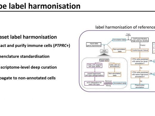 CellTypist towards automated cell type annotation - Chuan Xu