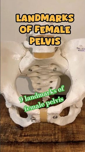9 Landmarks of Female Pelvis - Full Demonstration #gynecology#obstetrics#Bsc Nursing Students
