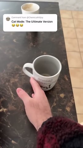 Cat mode training session #catmode