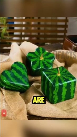 How Japan Made the Coolest-Looking Worst-Tasting Fruit Ever