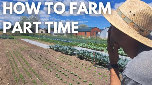 How to Start a Farm Part-Time?