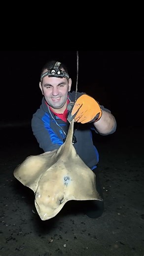 ALIEN looking fish!👽 𝐄𝐀𝐆𝐋𝐄 𝐑𝐀𝐘(𝐌𝐲𝐥𝐢𝐨𝐛𝐚𝐭𝐢𝐬 𝐚𝐪𝐮𝐢𝐥𝐚) #eagleray #stingray #stingrayfish #stingrayfishing