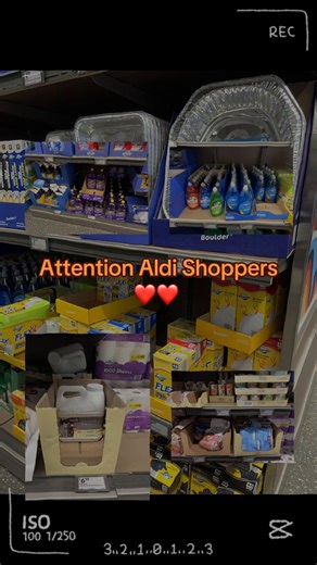 Aldi Finds for Cat Lovers in Detroit 🛒