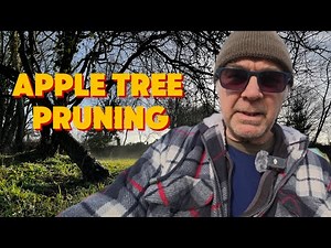 How To Prune Apple Trees For Maximum Yield