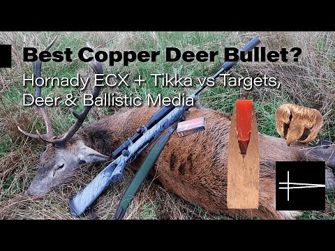 Best Copper/Lead Free Deer Bullet? Hornady ECX + Tikka Ballistic Media Test and Red Deer