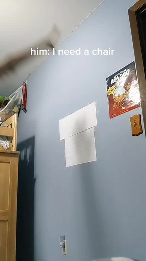 how.to.become.a.chair (@how.to.become.a.chair)’s videos with the things i would do to you - disguisedroid