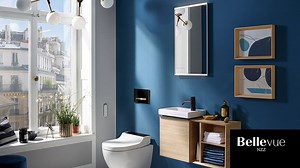 Dusch-WC: «Sie reinigen Ihr Geschirr ja auch nicht mit Papier»