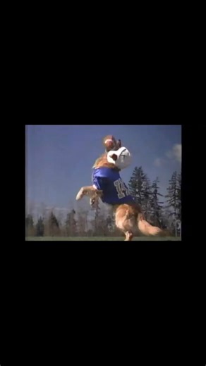 1998 Air Bud: Golden Receivers Commercial #90smovie #1998 #airbudgoldenreceiver #airbudgoldenreceivercommercial #90scommercial @kevinzegers1984 @cynstevenson | All Things 90s