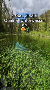 Gopro 12: Perfekte Unterwasseraufnahmen in Baden-Württemberg