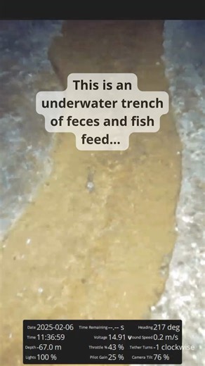 31K views · 436 reactions | This is what factory fish farms don’t...