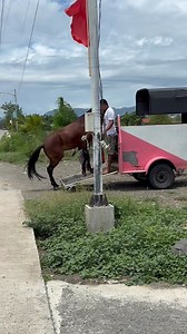 206K views · 1.9K reactions | Race Day here at Ilocos Sur! | All About Horses Ph. | Facebook