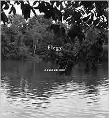Dawoud Bey: Elegy