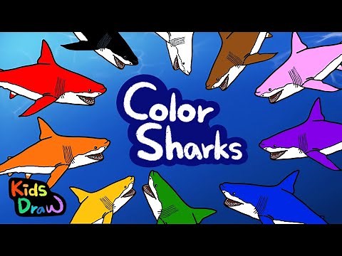 Color Sharks | Let's Learn colors with colorful sharks! | Kids Draw