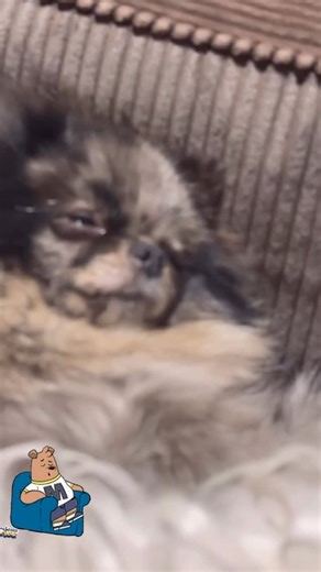 Houssem Mahmoudi on Instagram: "💤"