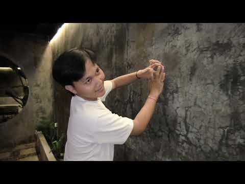 How to catch a big gecko / lizard