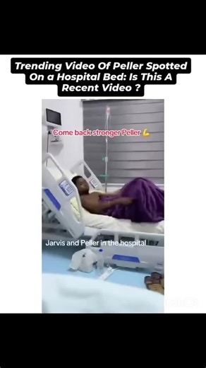 Snazzy💐 on Instagram: "Trending video of peller spotted at the hospital bed."