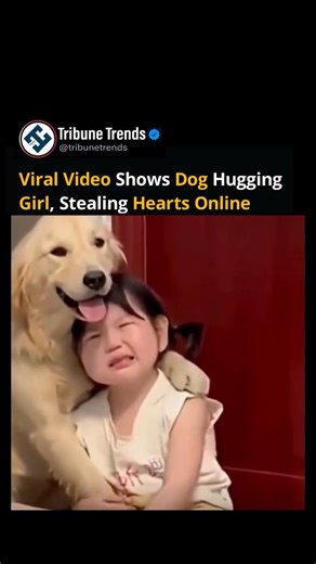 A viral video shows a dog hugging a little girl after her mother scolded her, offering comfort like a true friend. The wholesome moment has touched hearts online, with many calling the pet “the best therapist,” highlighting the unmatched love and loyalty dogs bring to families. Disclaimer: The clip is shared for its heartwarming content; authenticity has not been confirmed. #DogHug #WholesomeMoment #PetLove #DogsAreFamily #ViralVideo #FurryTherapist #TrendingNow #Tribunetrends | Tribune Trends