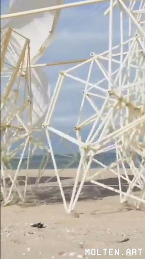 19 metre kinetic sculpture by artist Theo Jansen.