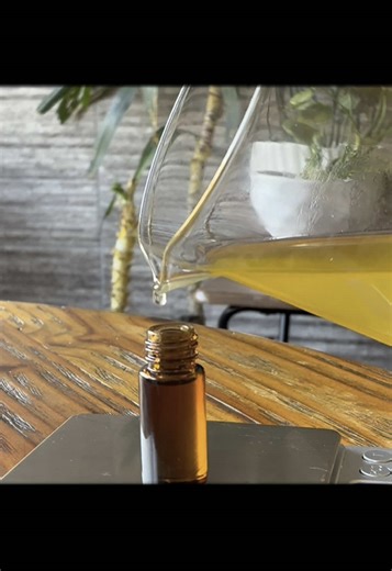 Videos de Valentina Olea Courtin (@valentina.olea.co) con “FRENCH BOSSA NOVA - Ladji Mouflet & aupinard”