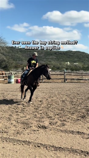 Understanding the Hay String Method for Horses