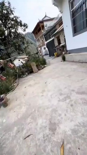 Bassassin Lineleash Video from Caster Indonesia