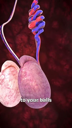 Zack D. Films Meme 101 #ytp