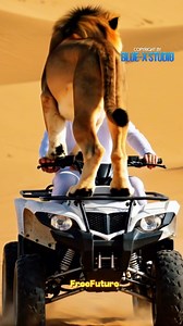 148K views · 3.6K reactions | Lions Desert Hope ATV Driver! | Blue X Studio Imaginary Animals | Facebook