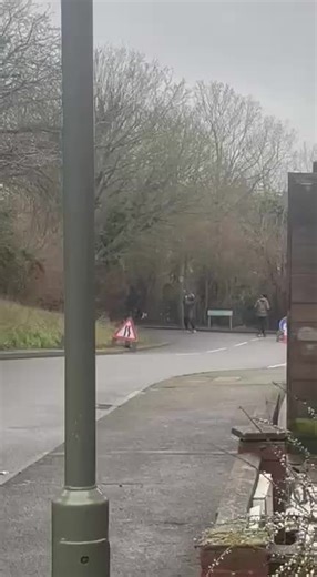 Shocking Catapult Incident in Bromley Estate