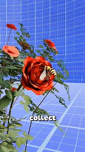 Worker bees kick drunk bees out of the hive 🐝😱 | Khushboo Bainsla