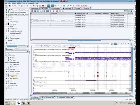 Brief Analysis Demo on ChAS