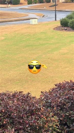 This is not what you want to see when Bermuda is coming out of dormancy. It’s disease. Spring dead spot. There are fungicides labeled to control this fungus that can be applied in fall but they are very expensive and could take multiple season to gain control. Not fertilizing after July helps. Typically you can get the Bermuda to grow out of it by mid summer or you could plug the areas, to speed up recovery. #golf #lawncare