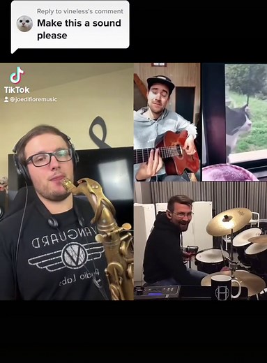 Exploring the Charming Sounds of Bossa Nova Cat Bands