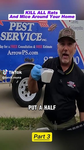 DIY Rat and Mouse Killer: Safe for Pets, Effective Results!