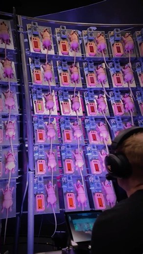ONTOS Rat Server - gamescom 2026
