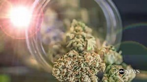 Marijuana laws through the years